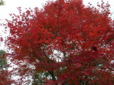 img0013.jpg
