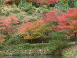 img0020.jpg