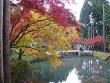 img0033.jpg