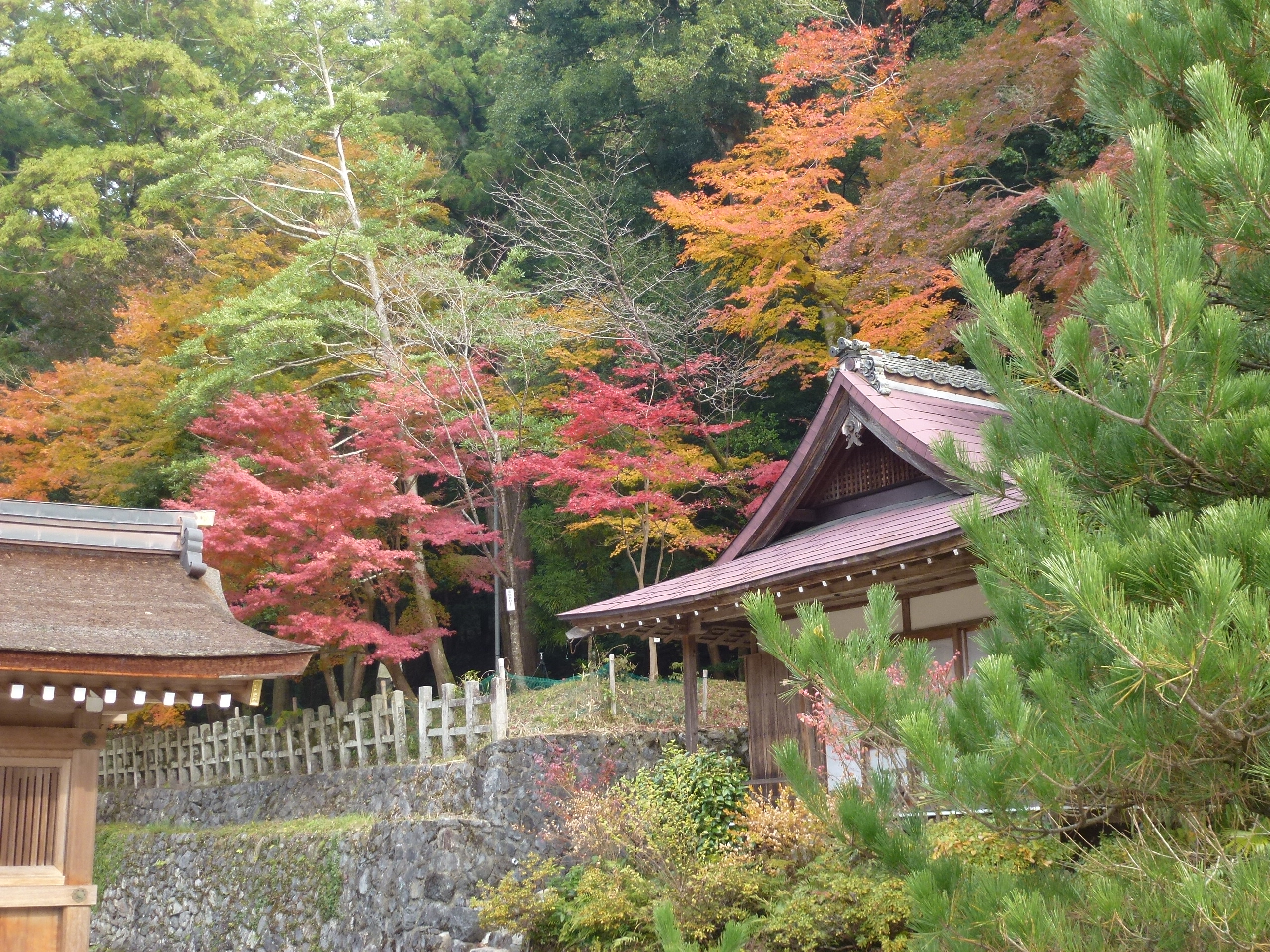 P1010423.JPG