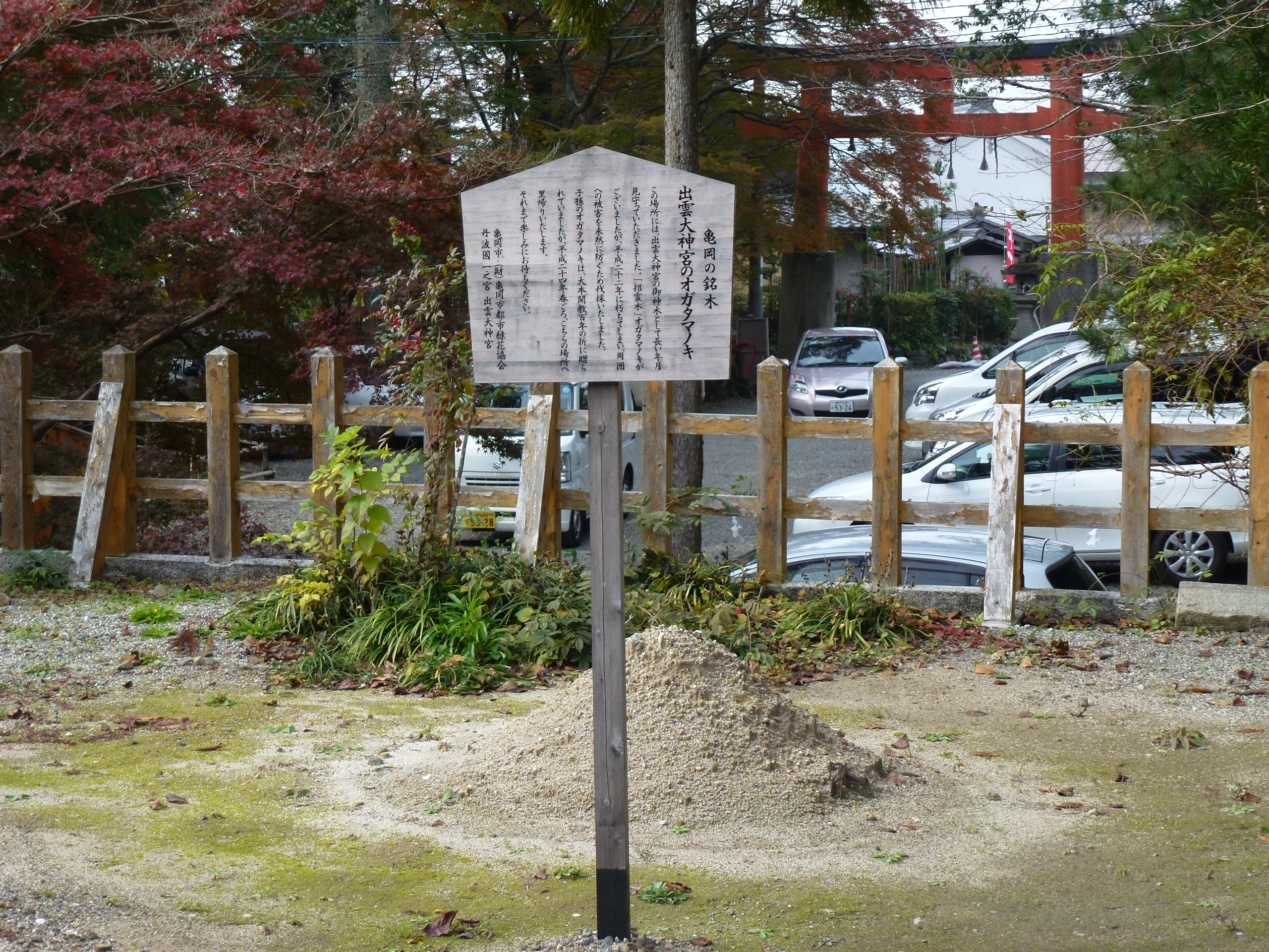 P1010427.JPG