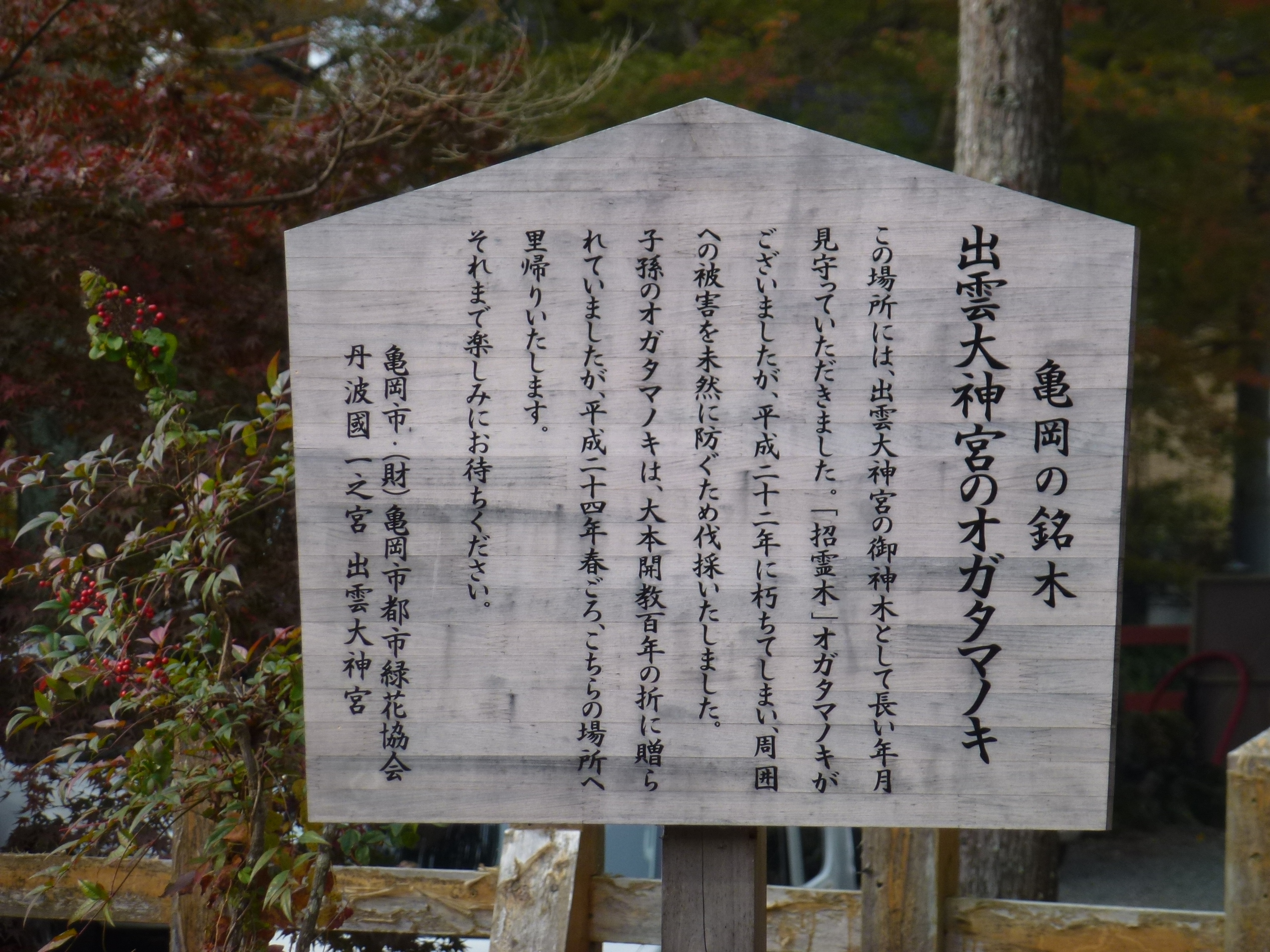 P1010428.JPG