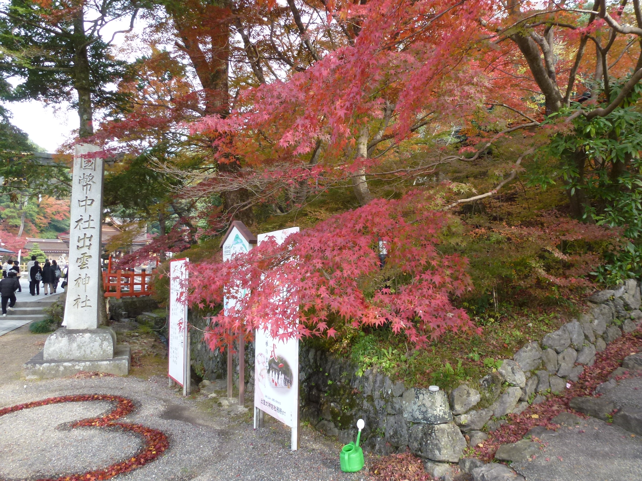P1010439.JPG