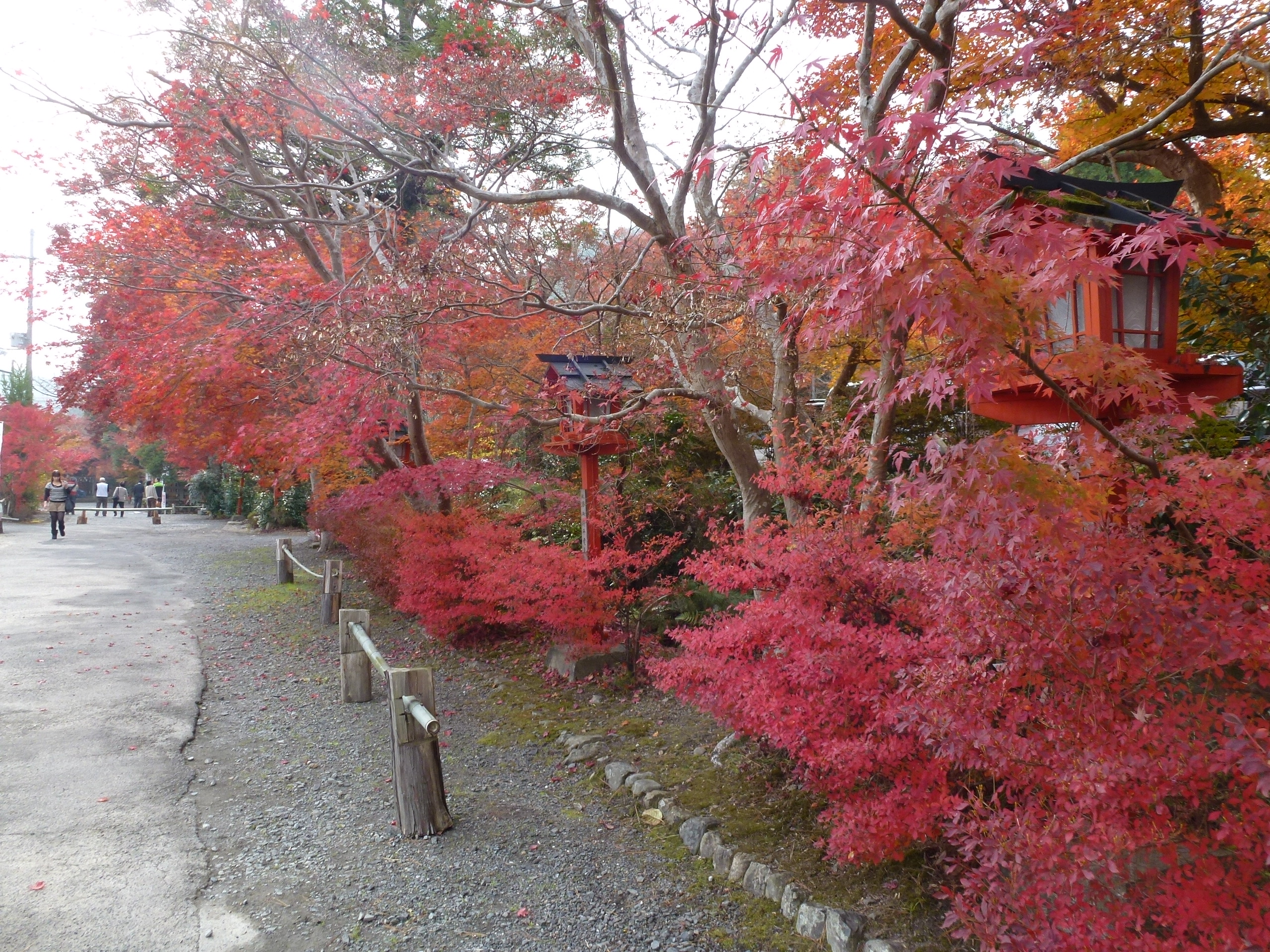 P1010441.JPG