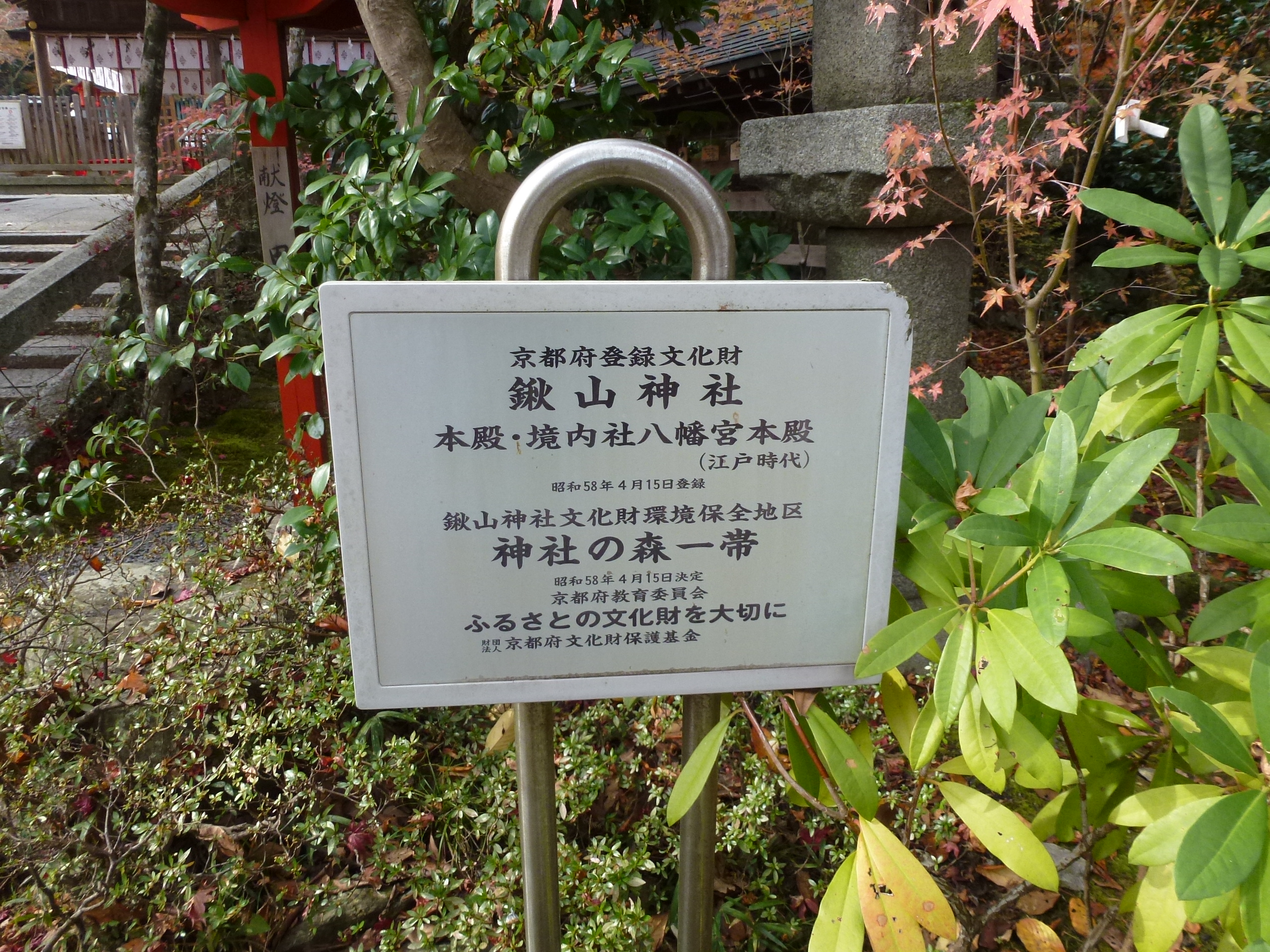 P1010443.JPG