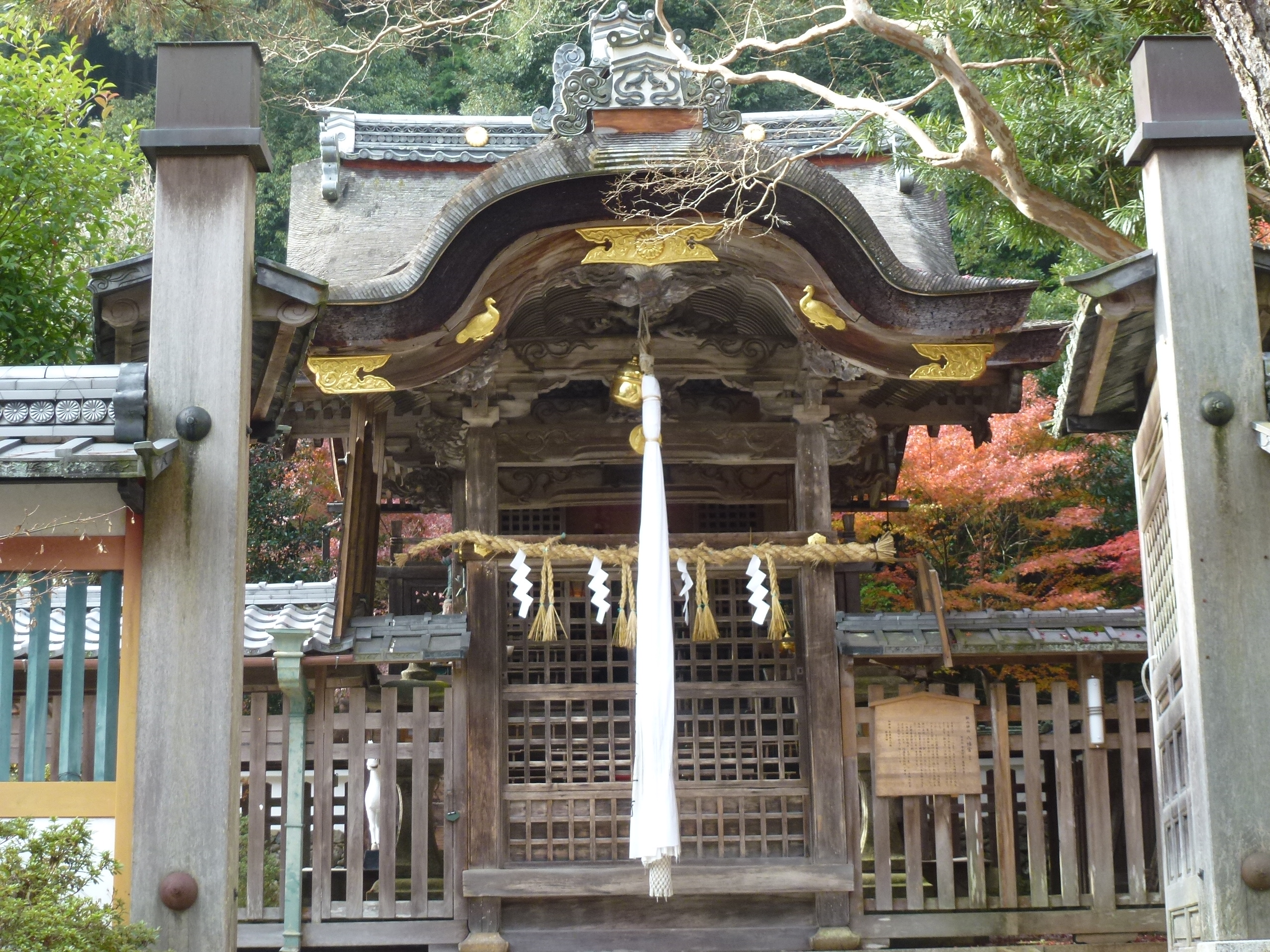 P1010448.JPG