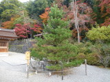 img0008.jpg