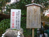 img0015.jpg