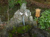 img0016.jpg