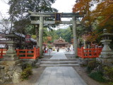 img0017.jpg