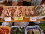 img0019.jpg