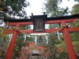 img0021.jpg