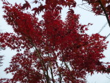 img0024.jpg