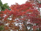 img0034.jpg