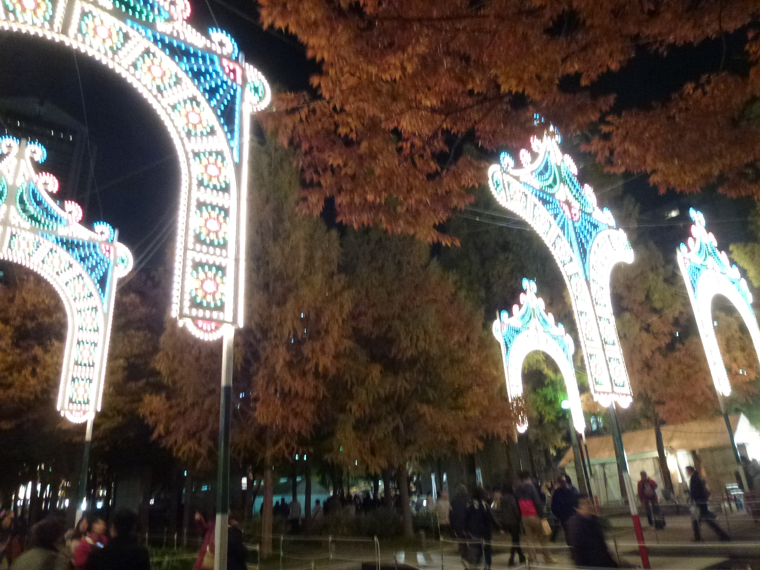 P1010514.JPG