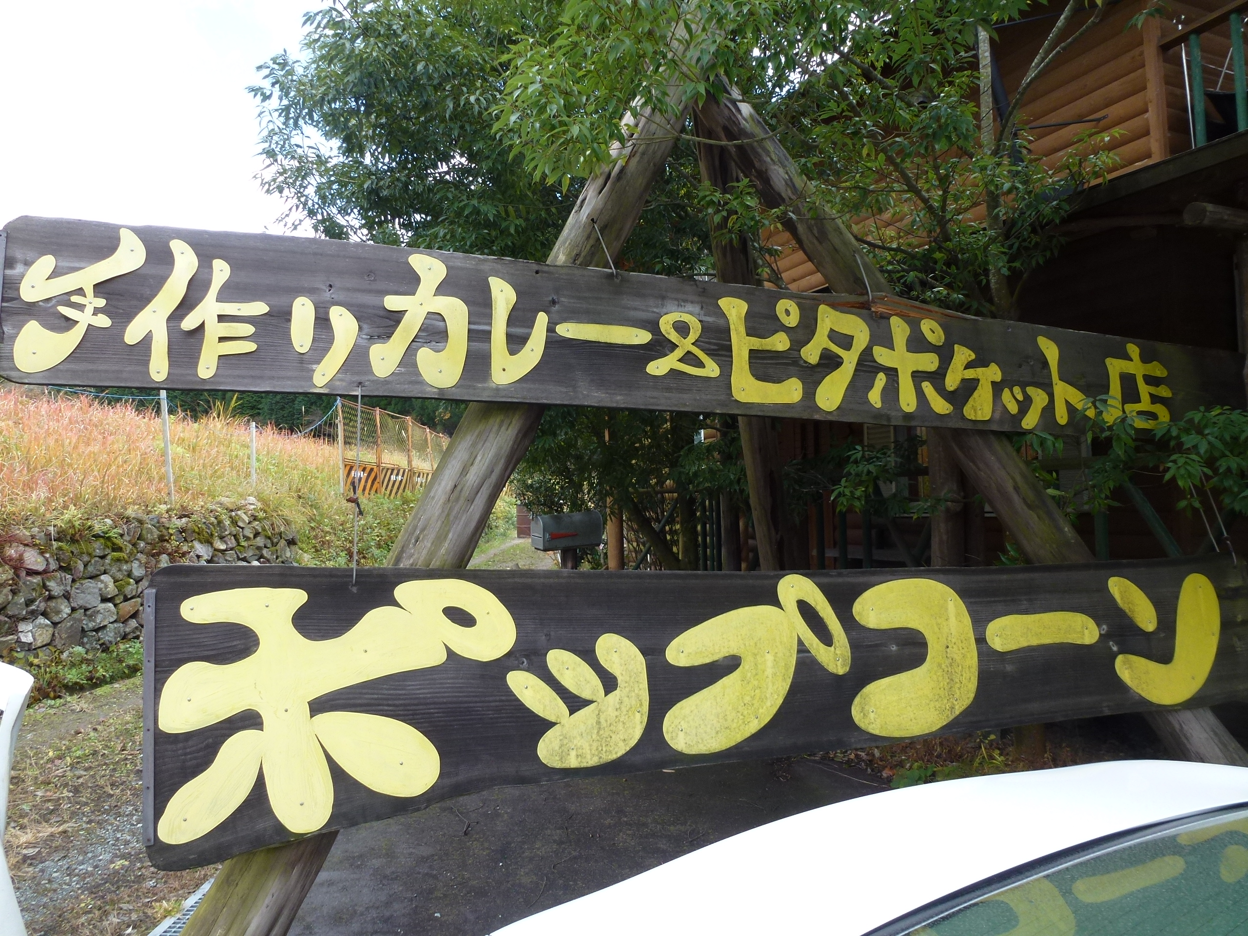 P1010541.JPG