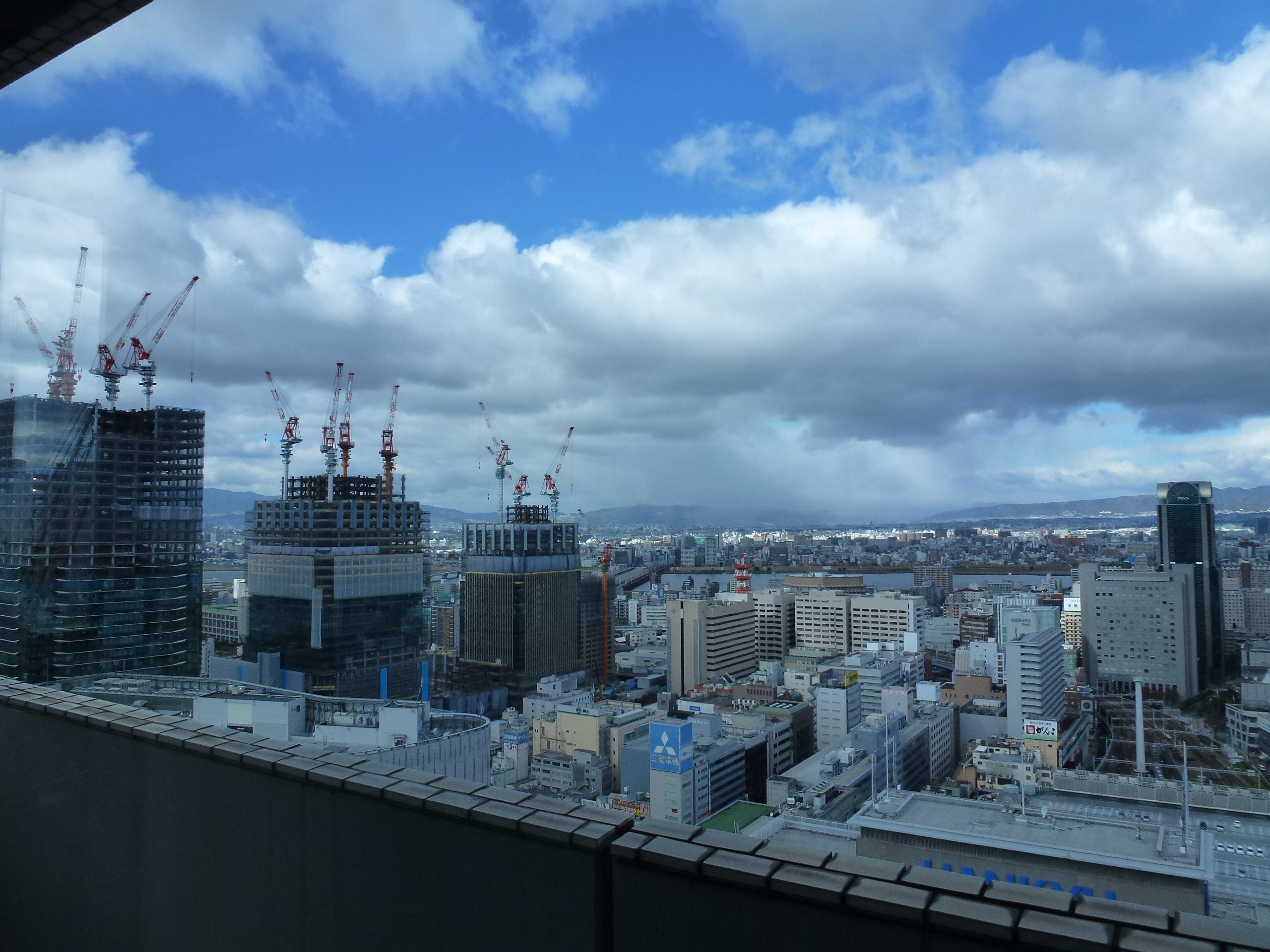 P1010554.JPG