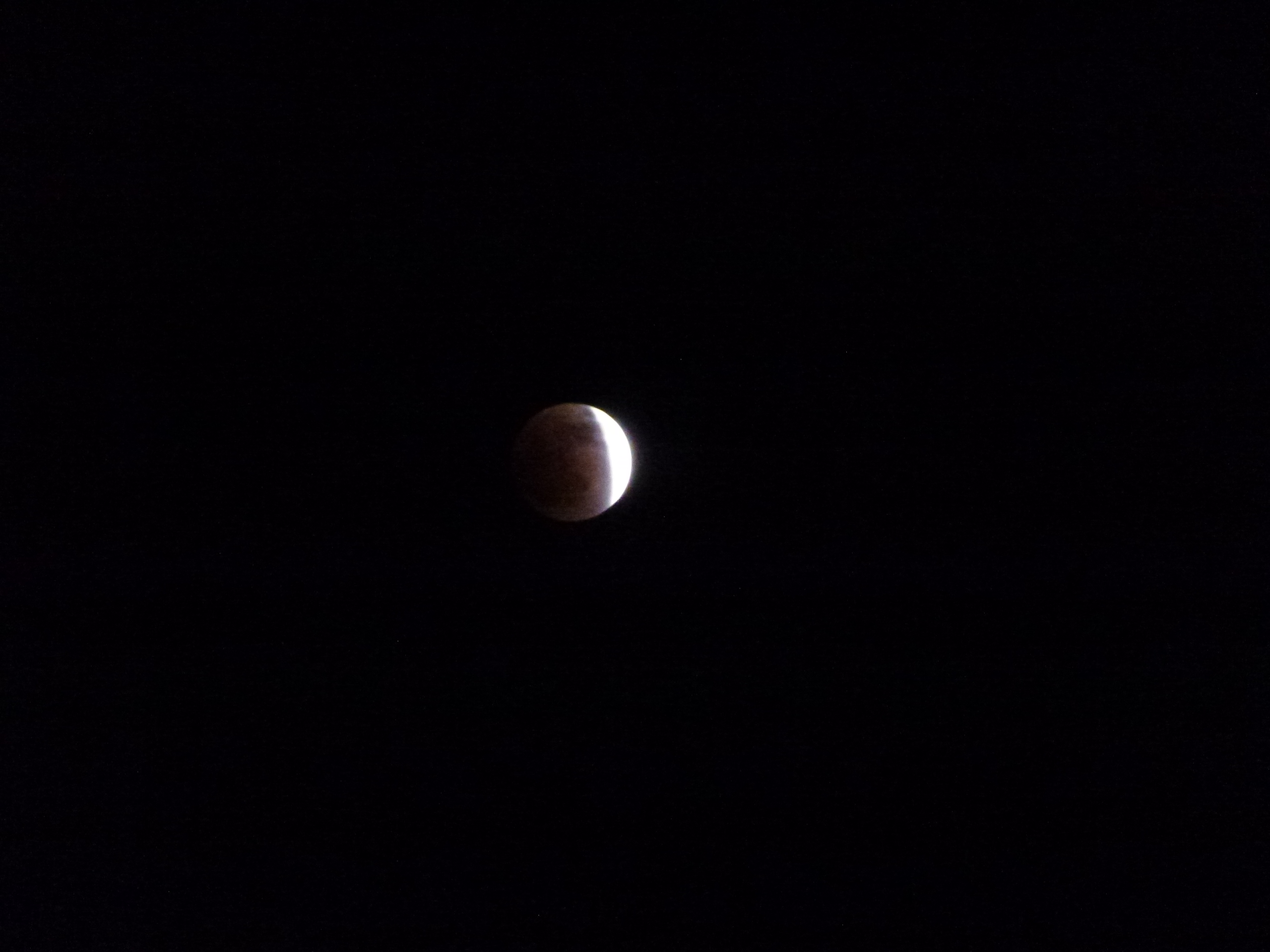 P1010566.JPG