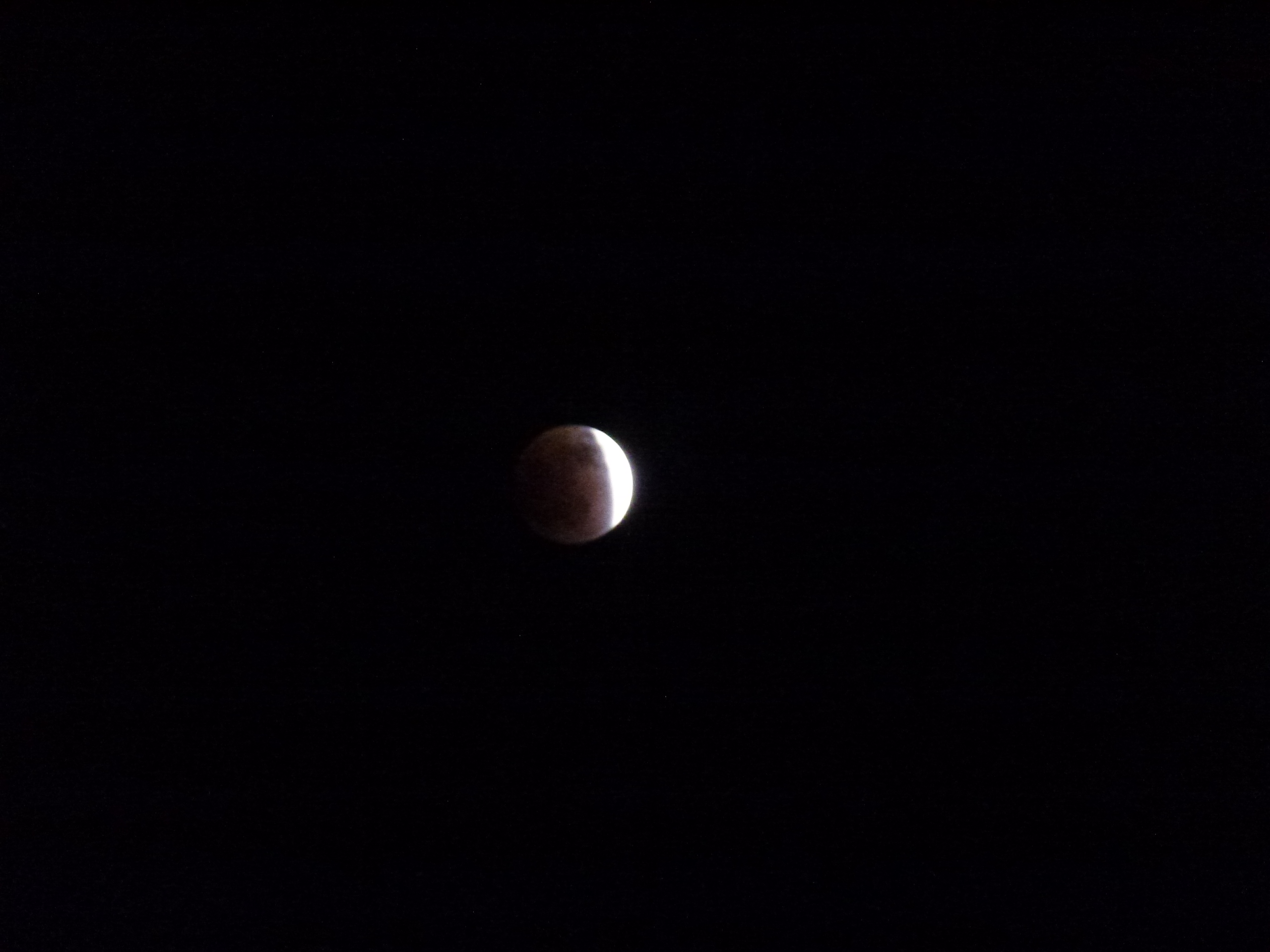 P1010568.JPG