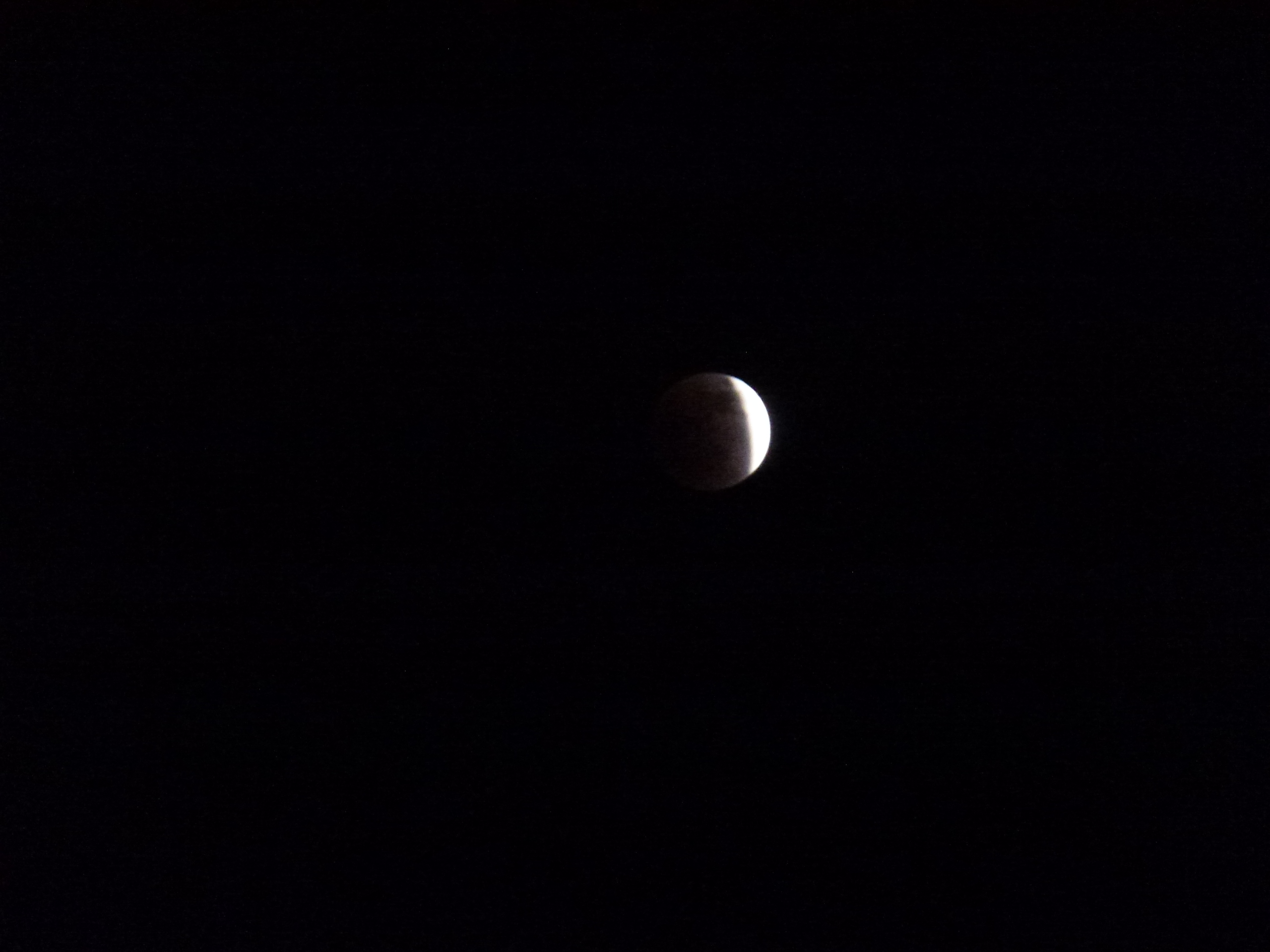 P1010570.JPG