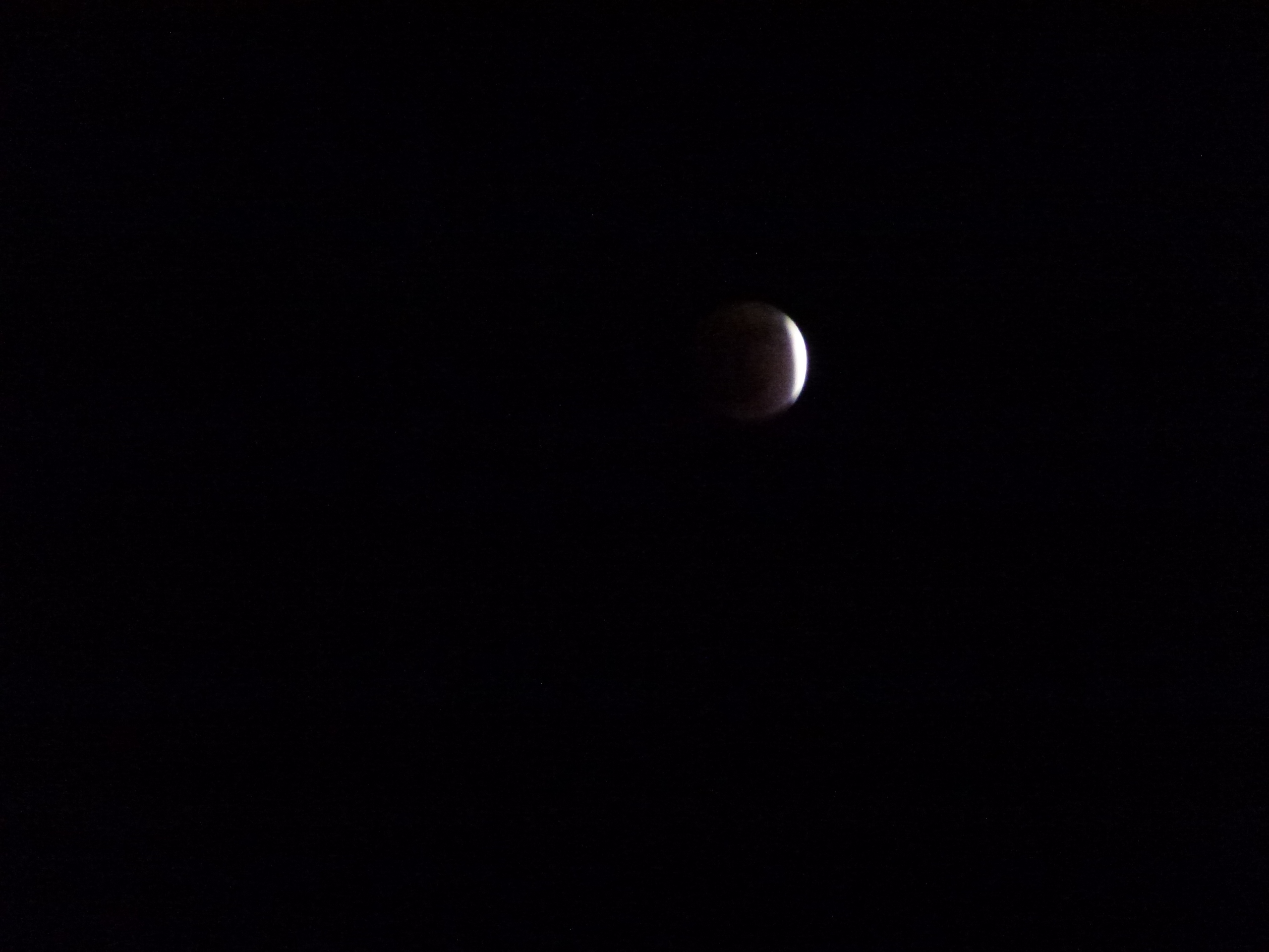 P1010573.JPG
