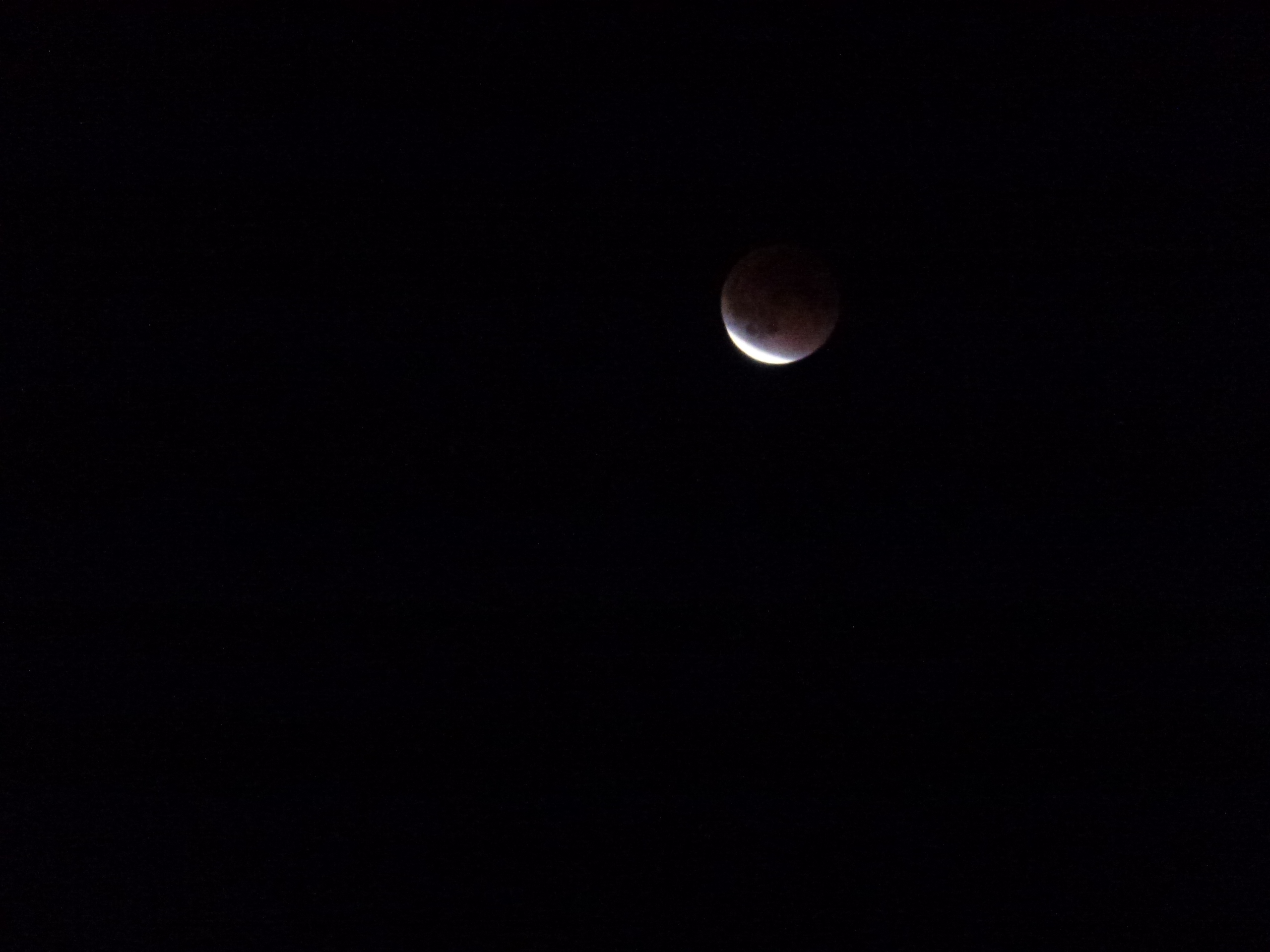P1010577.JPG
