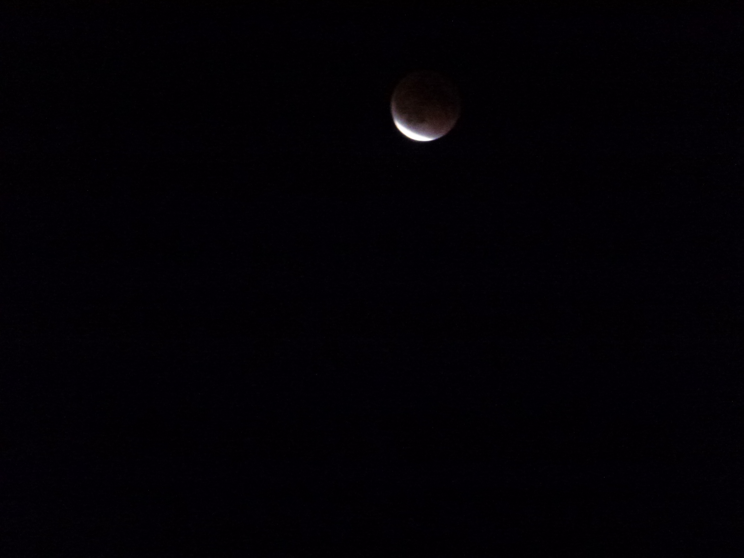 P1010578.JPG