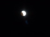 img0003.jpg