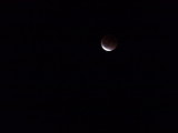 img0010.jpg