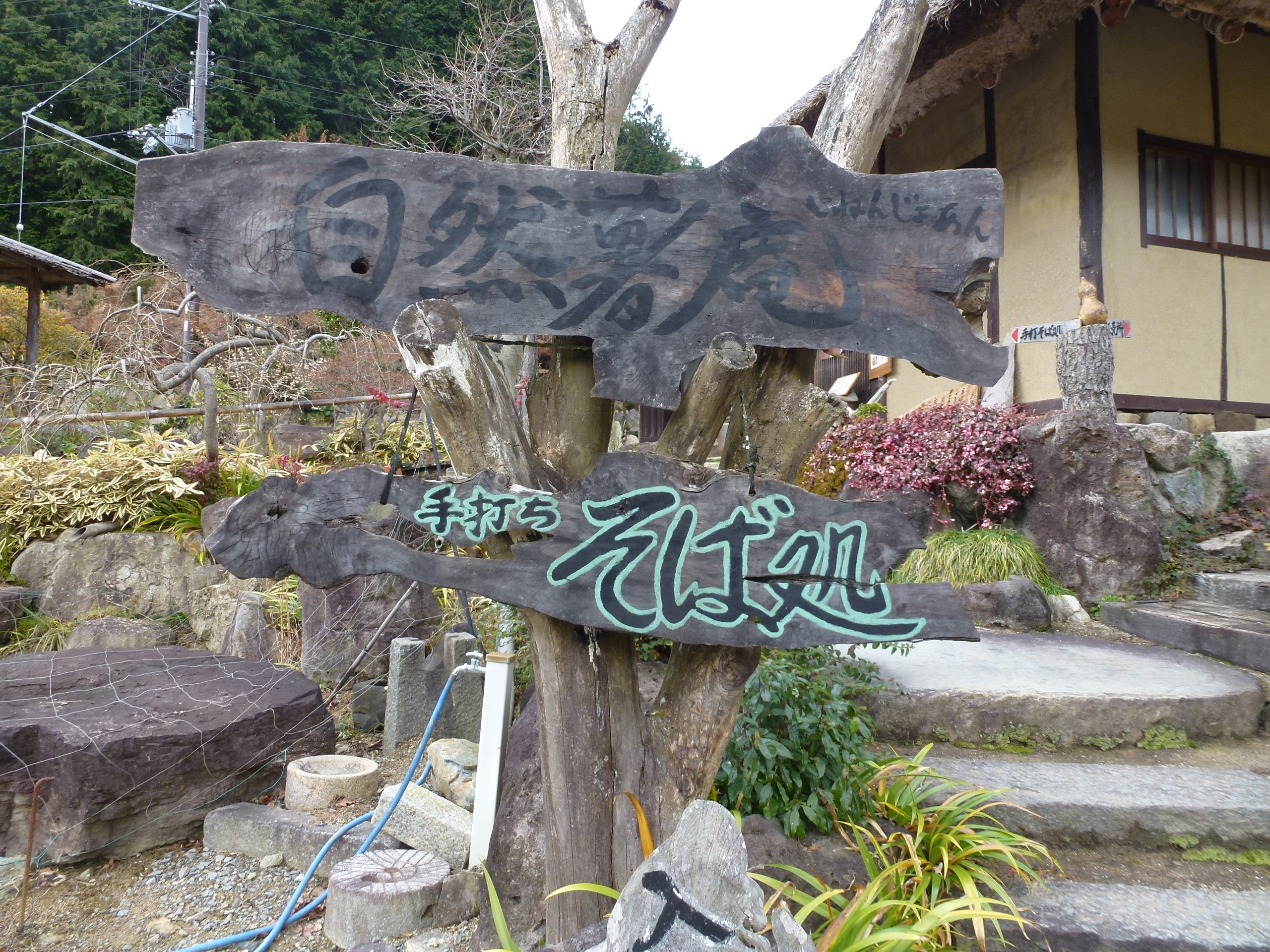 P1010591.JPG