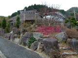 img0000.jpg