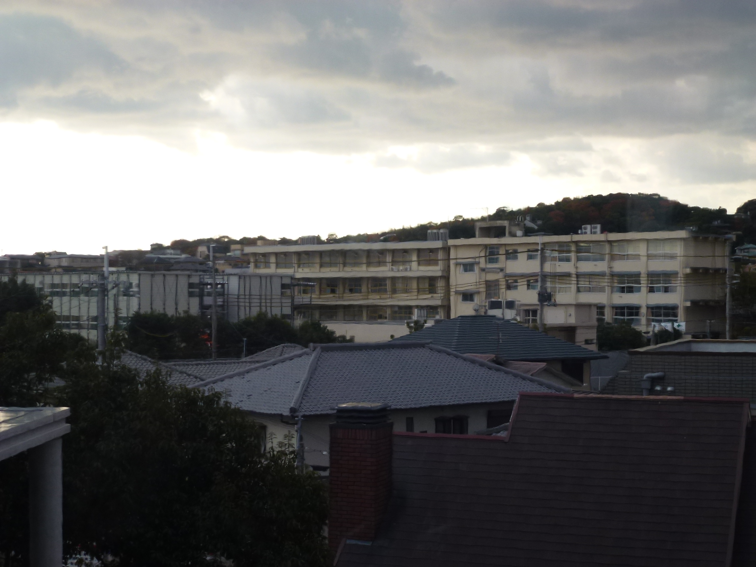 P1010661.JPG