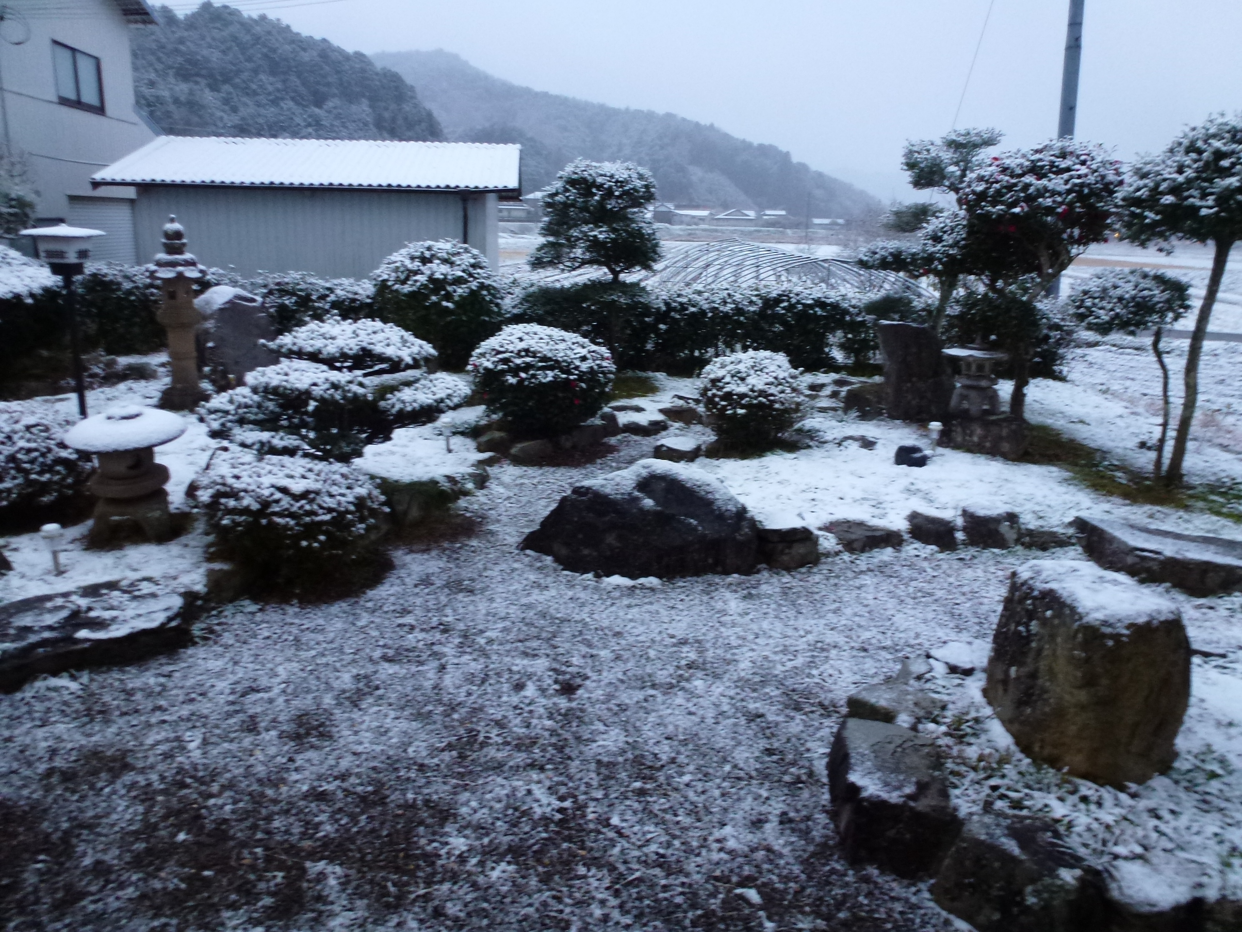 P1010671.JPG