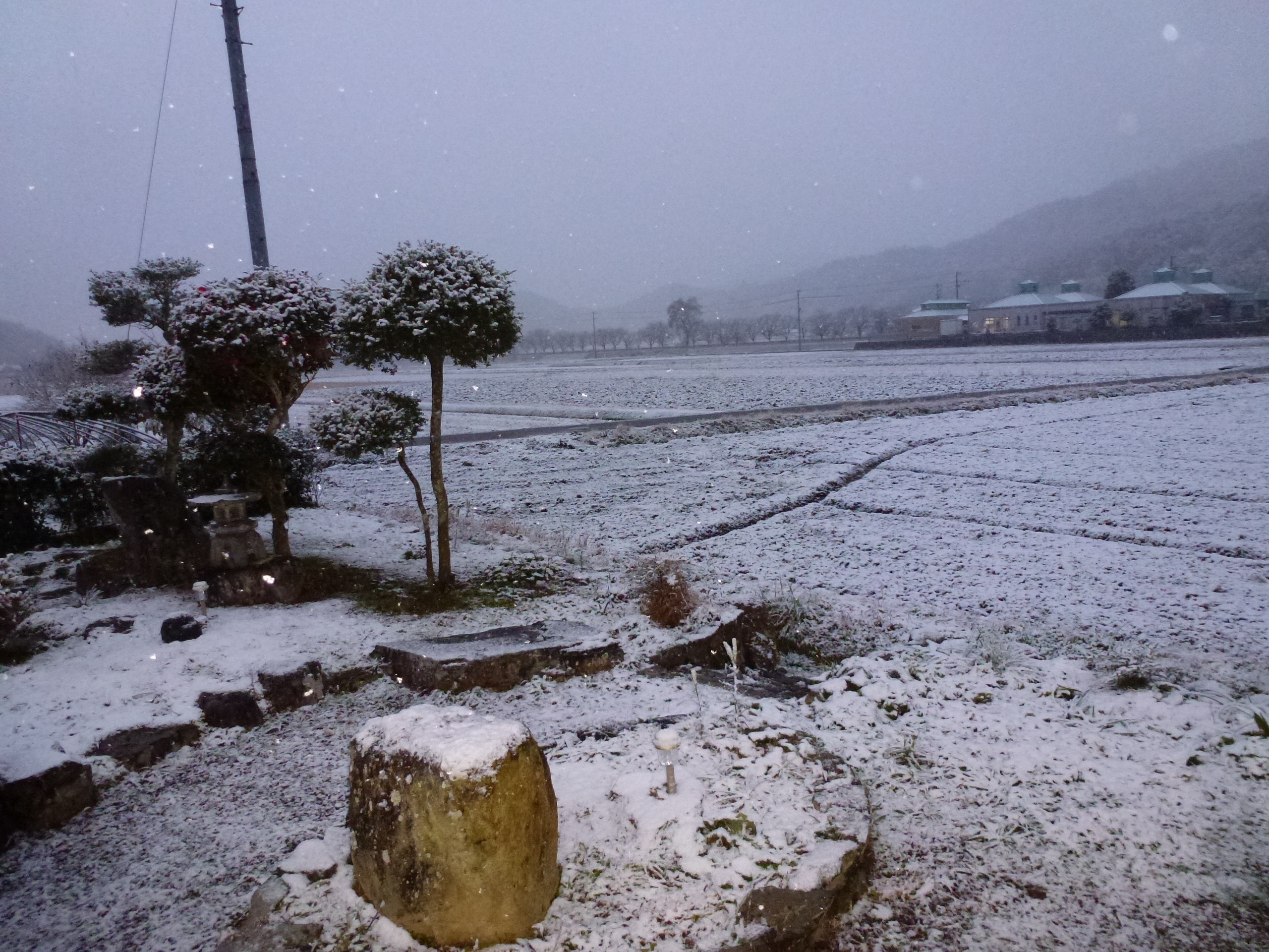 P1010675.JPG