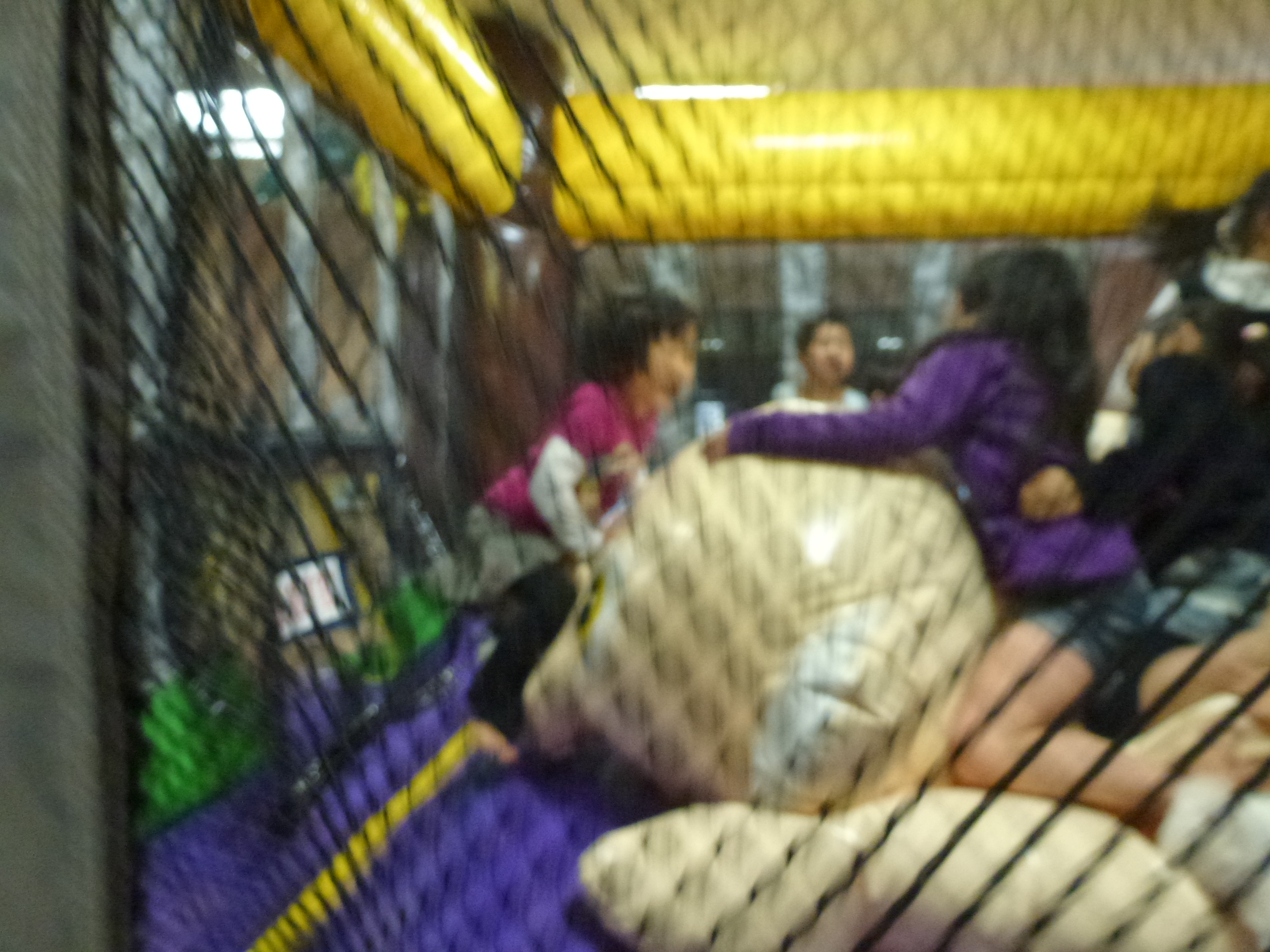 P1010793.JPG
