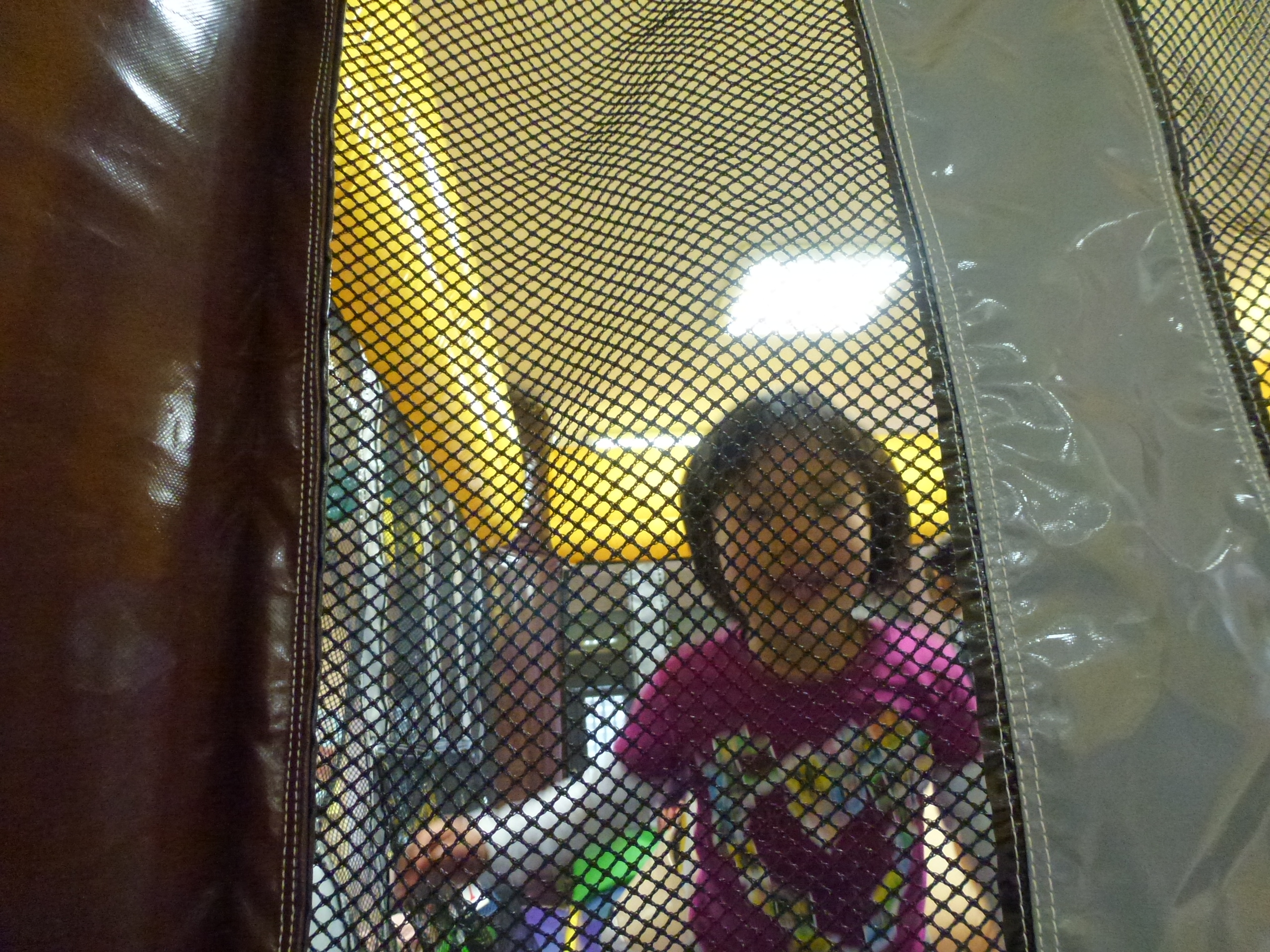 P1010799.JPG