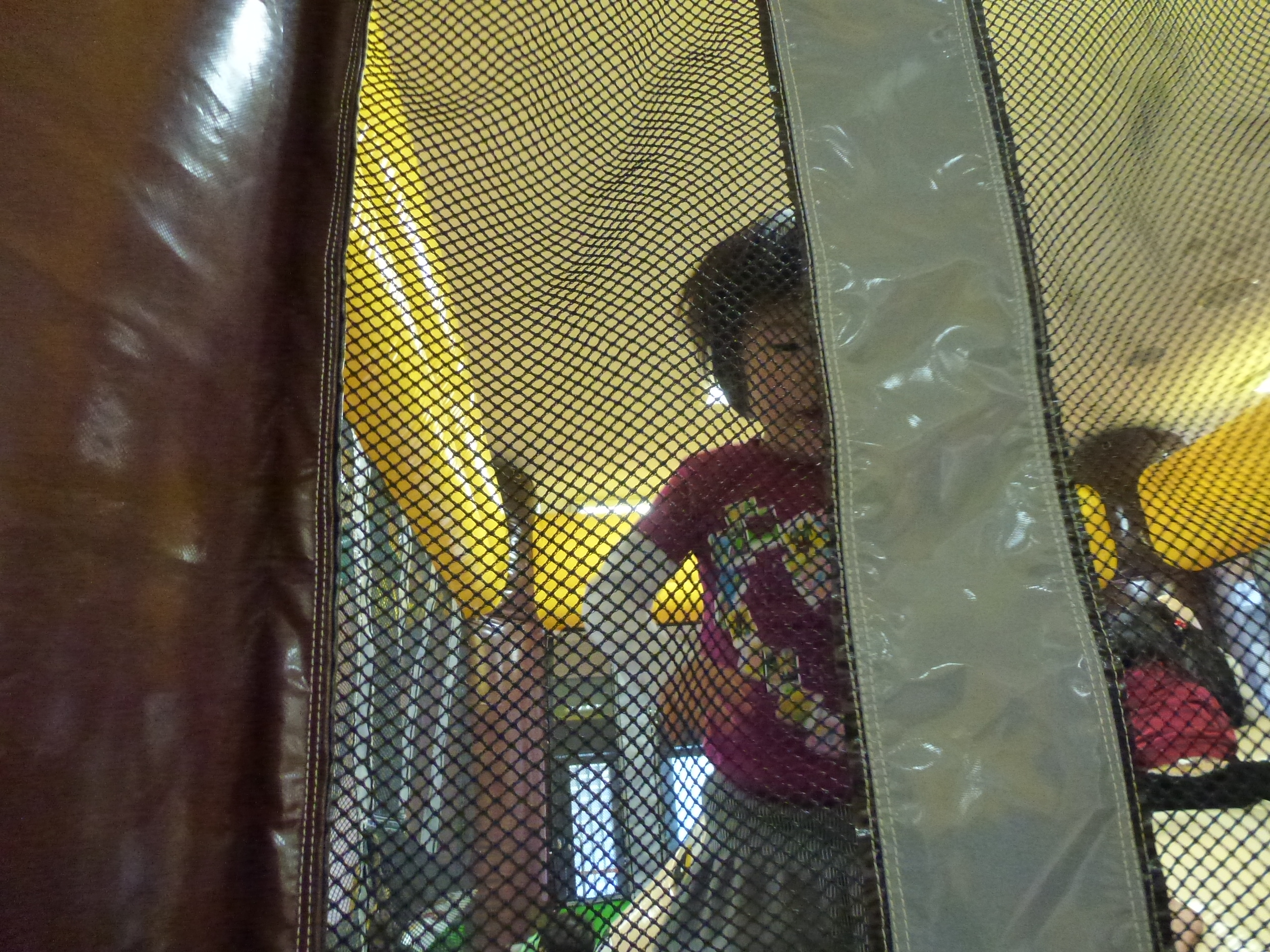 P1010802.JPG