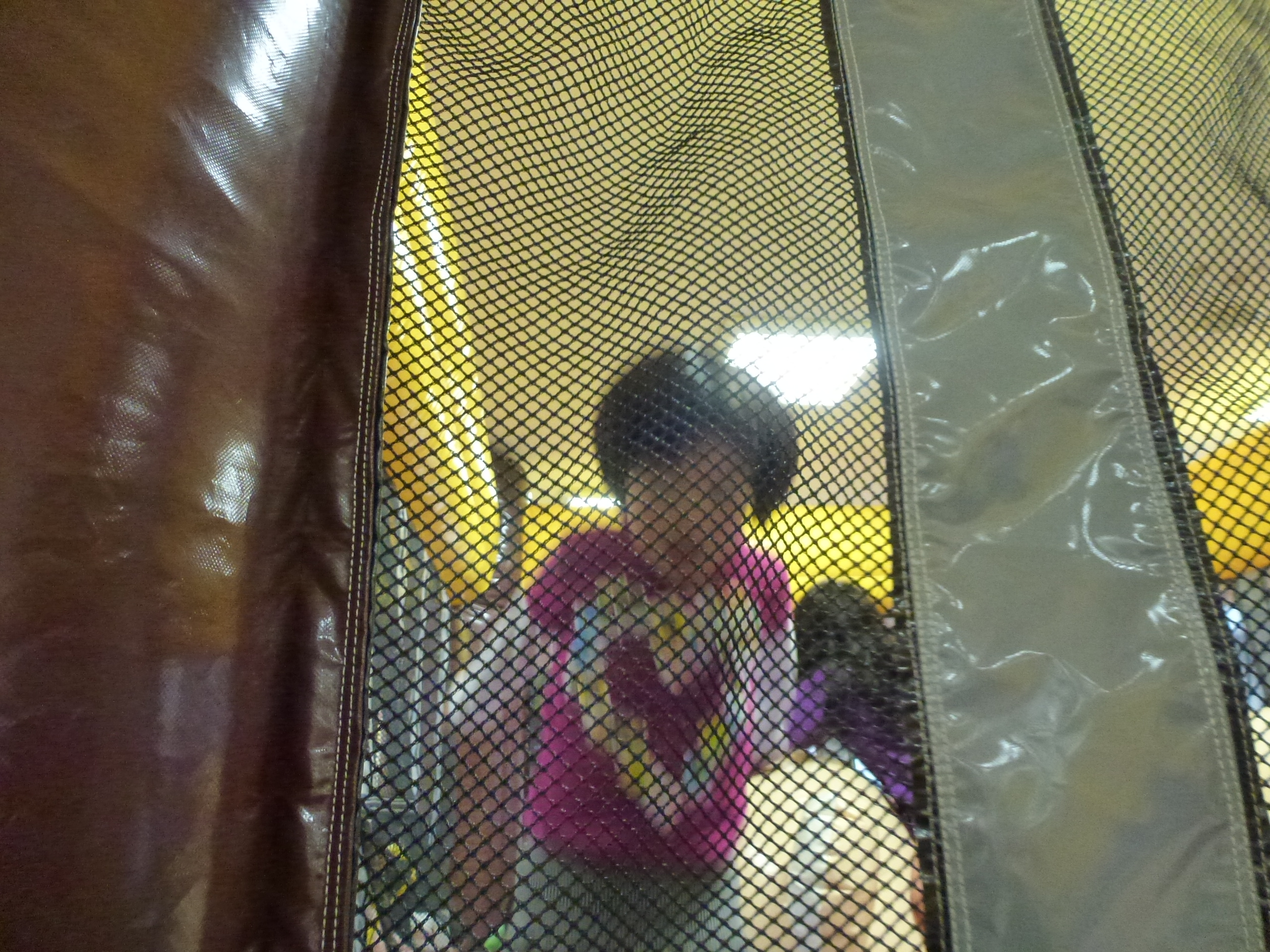 P1010803.JPG