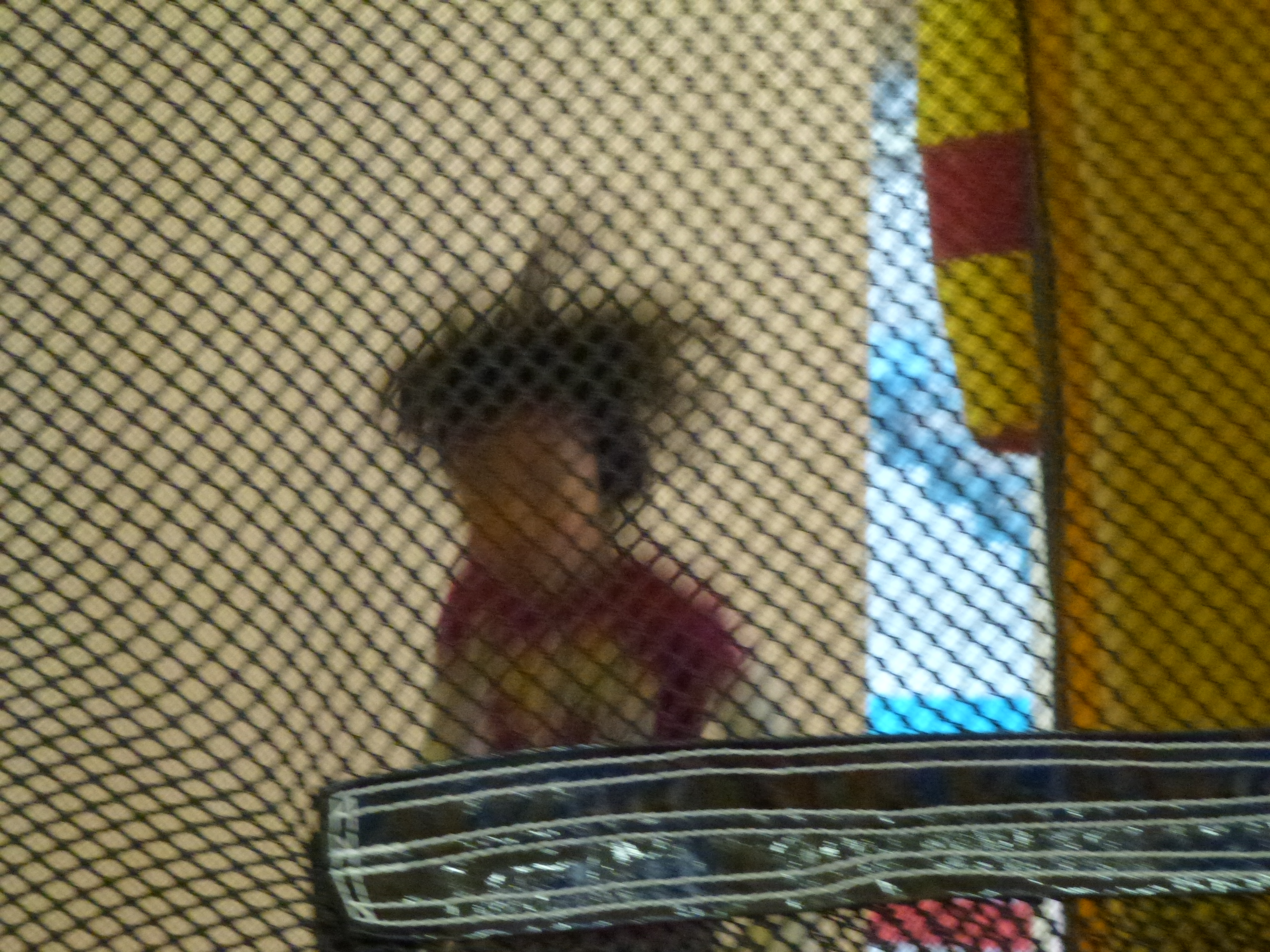 P1010808.JPG