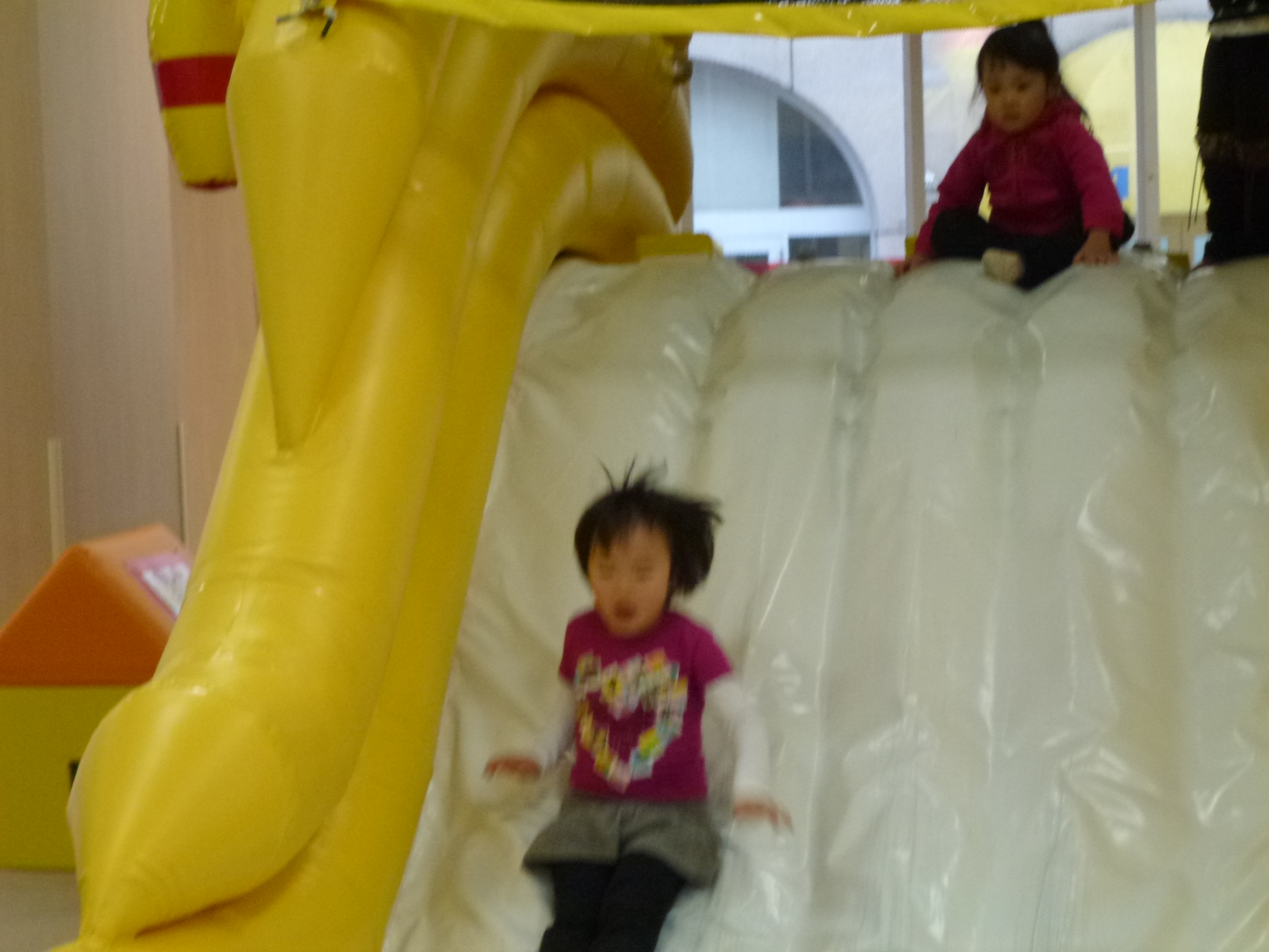 P1010816.JPG