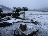 img0000.jpg