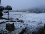 img0002.jpg