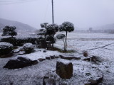 img0004.jpg