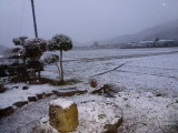 img0007.jpg