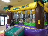 img0147.jpg