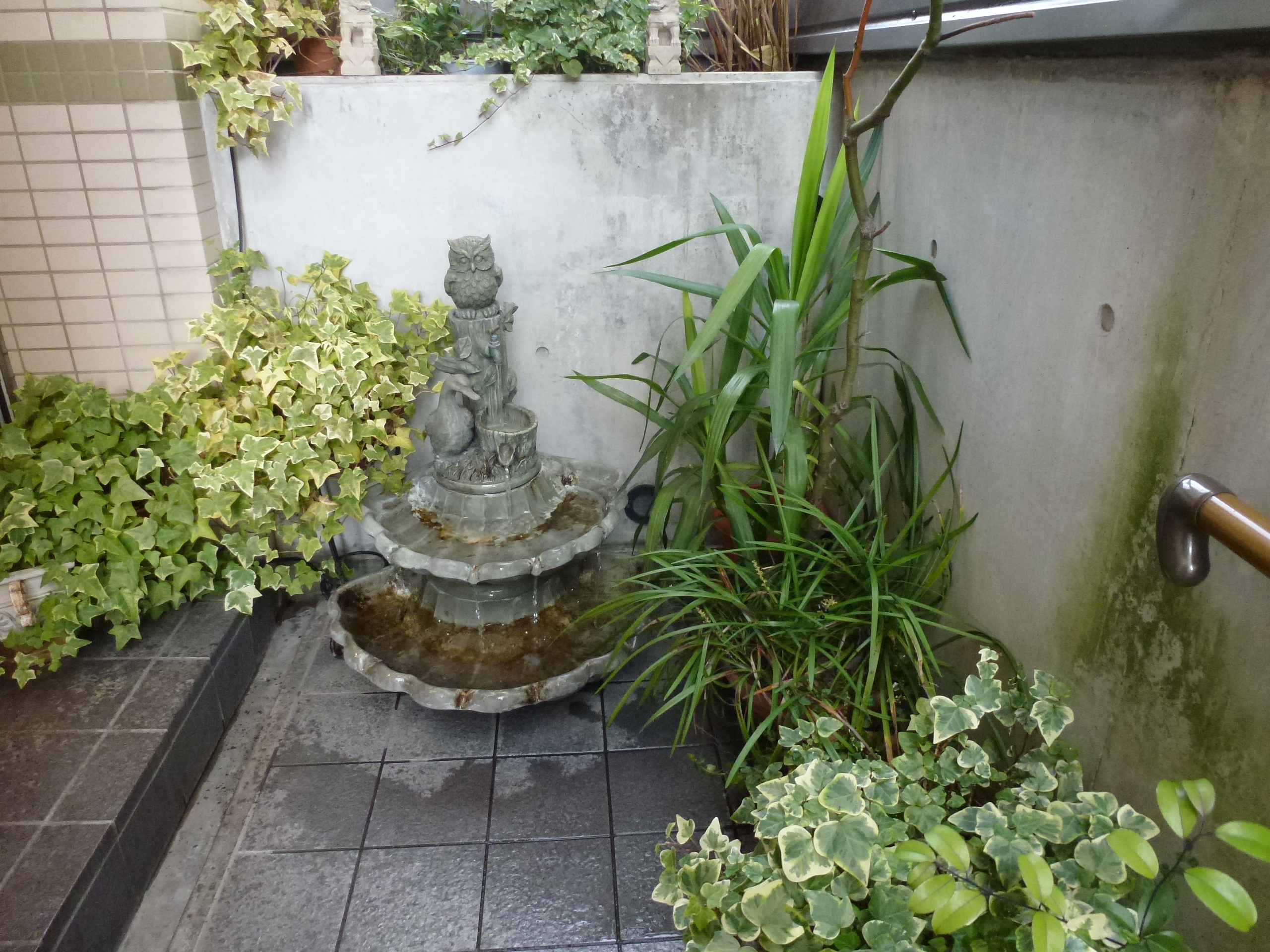 P1010944.JPG