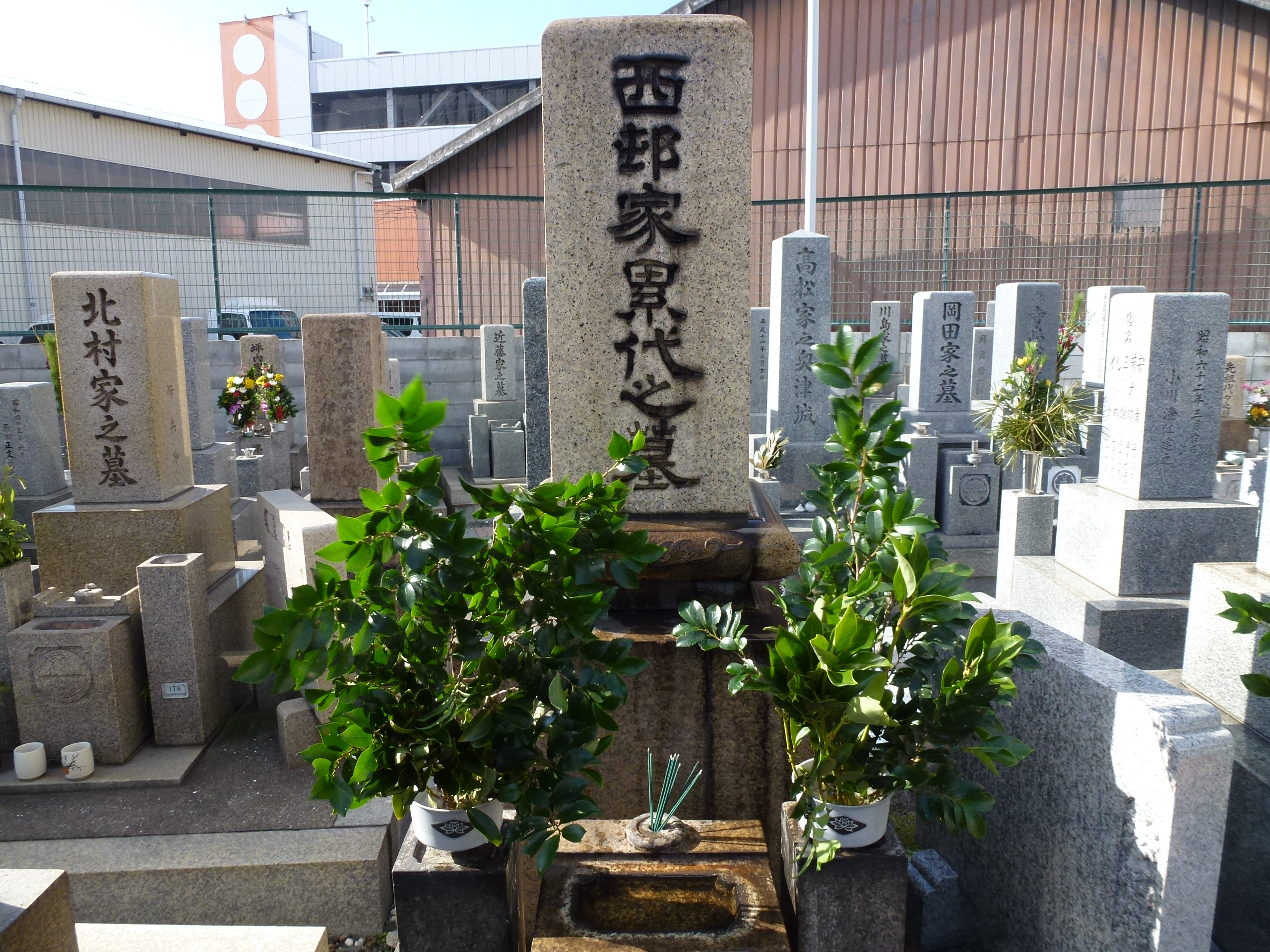 P1010982.JPG