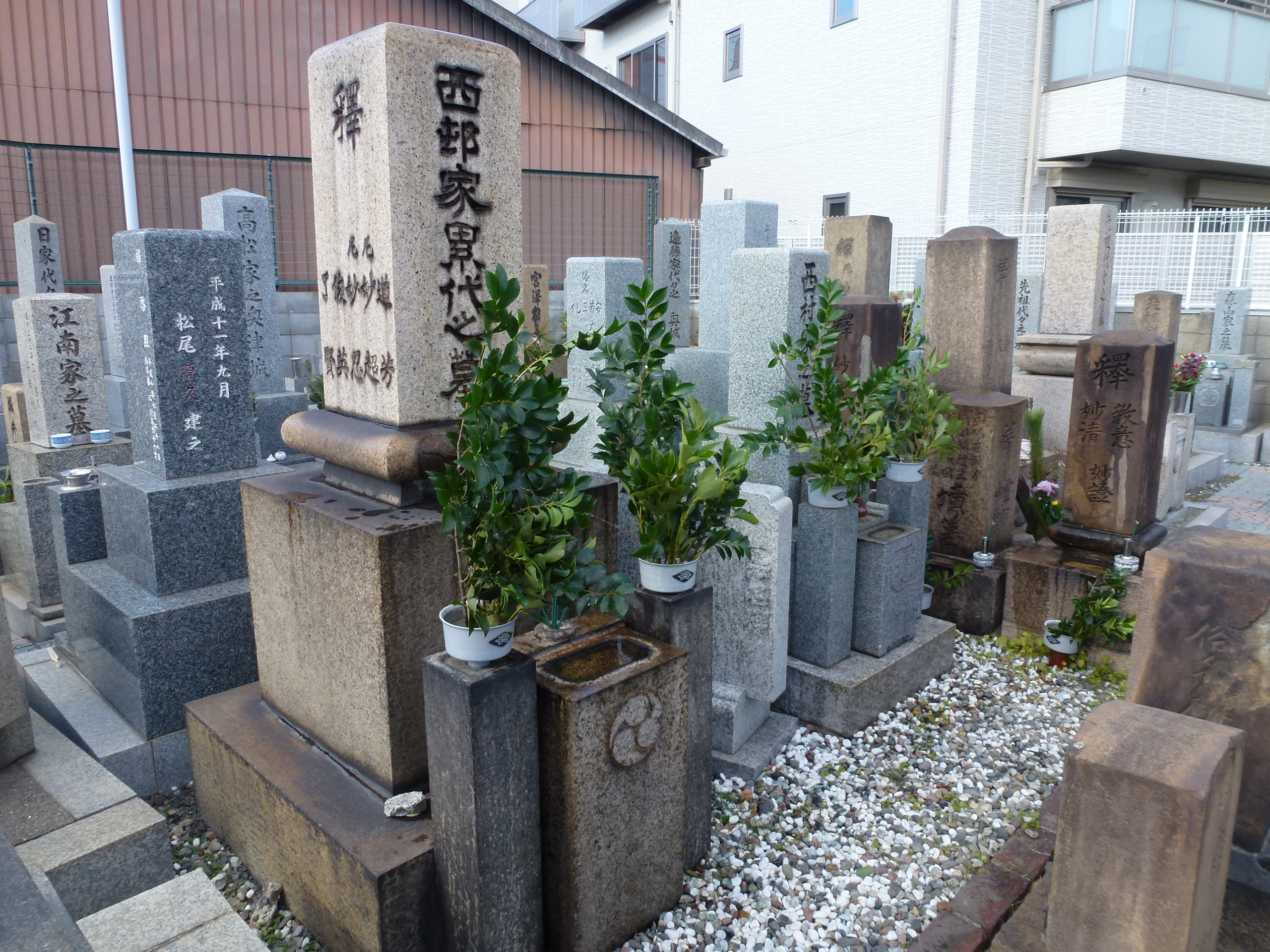 P1010985.JPG
