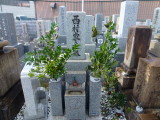 img0001.jpg