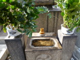 img0004.jpg